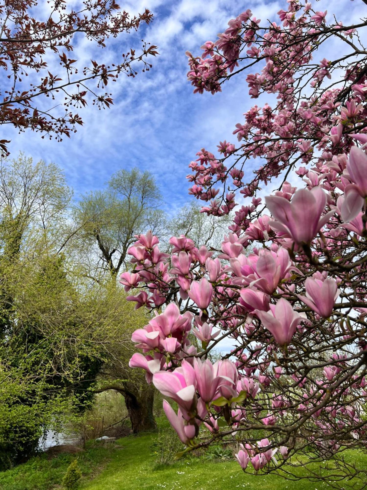 Am Flussgarten Eriskirch Zewnętrze zdjęcie