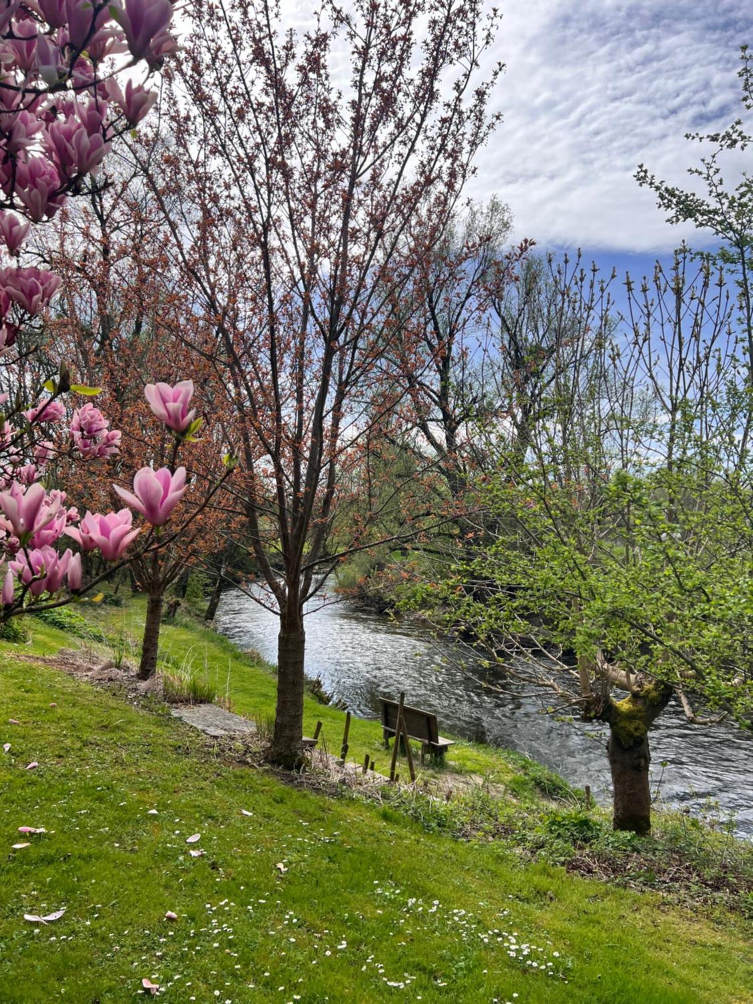 Am Flussgarten Eriskirch Zewnętrze zdjęcie