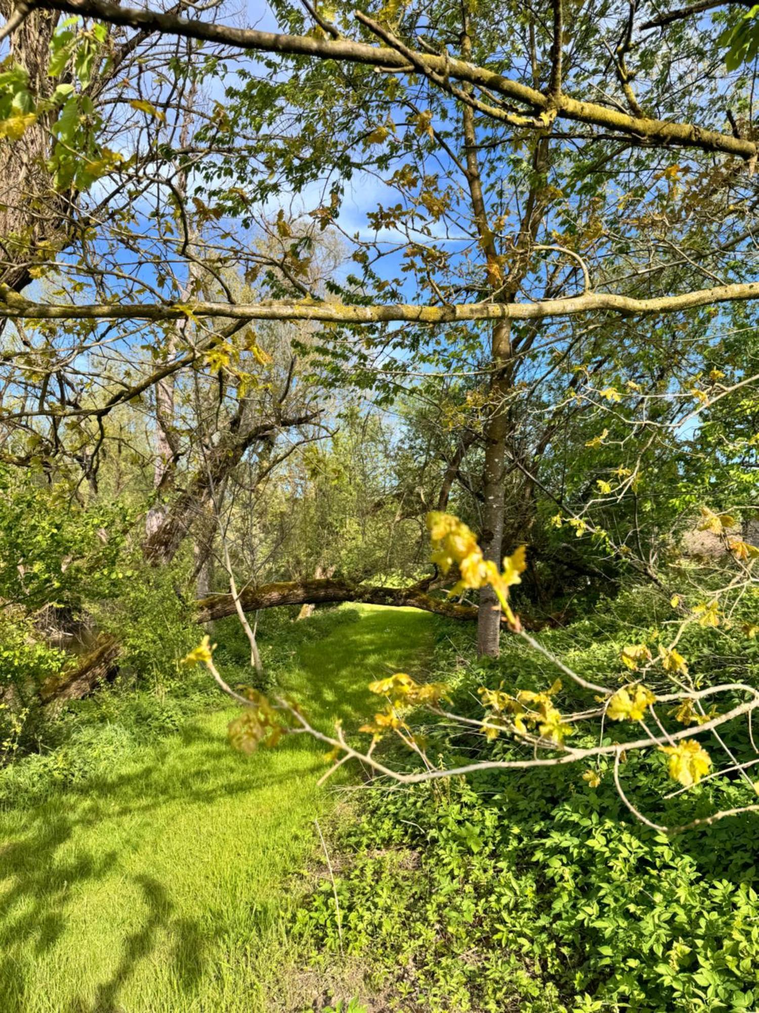 Am Flussgarten Eriskirch Zewnętrze zdjęcie