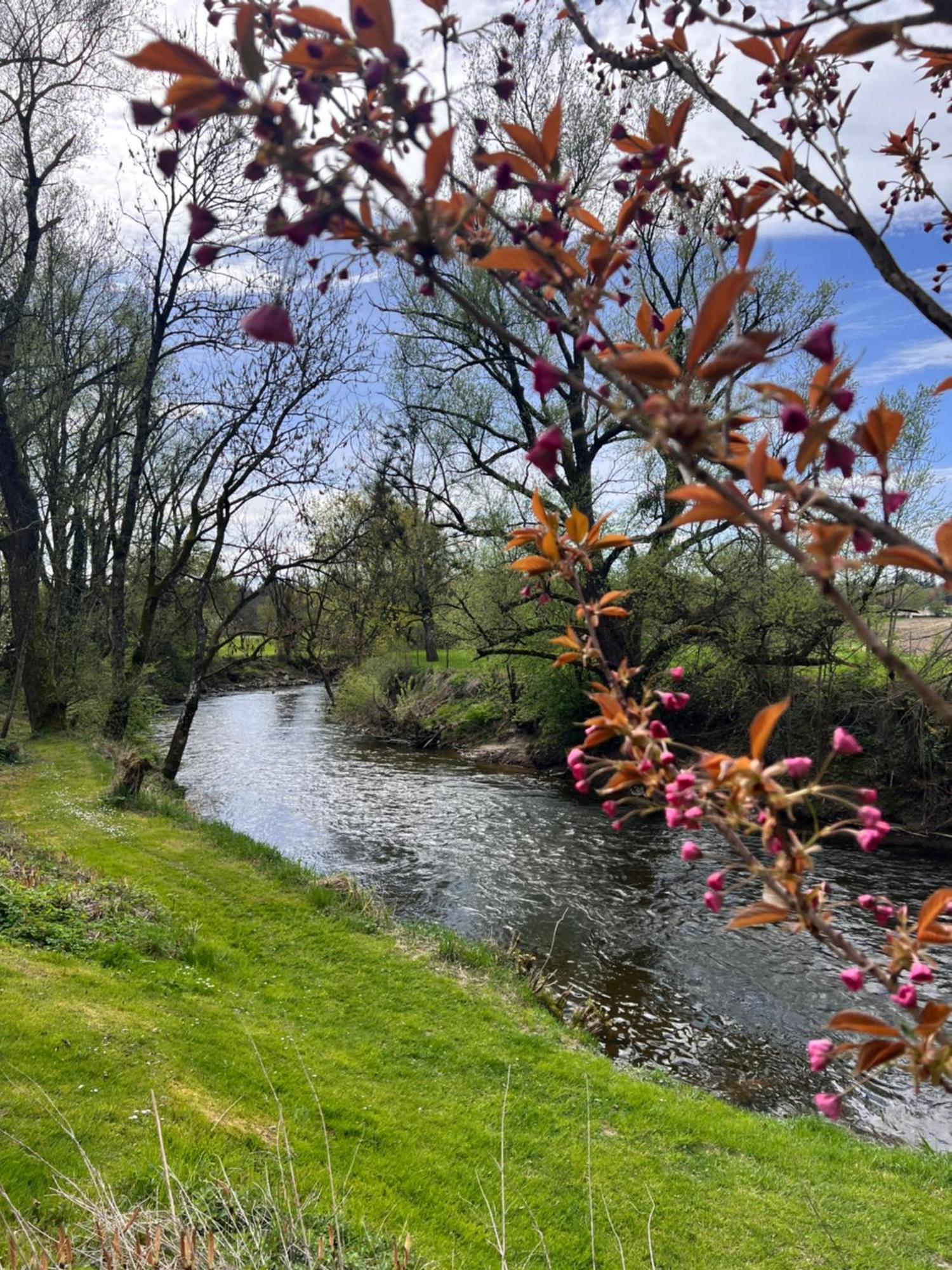 Am Flussgarten Eriskirch Zewnętrze zdjęcie