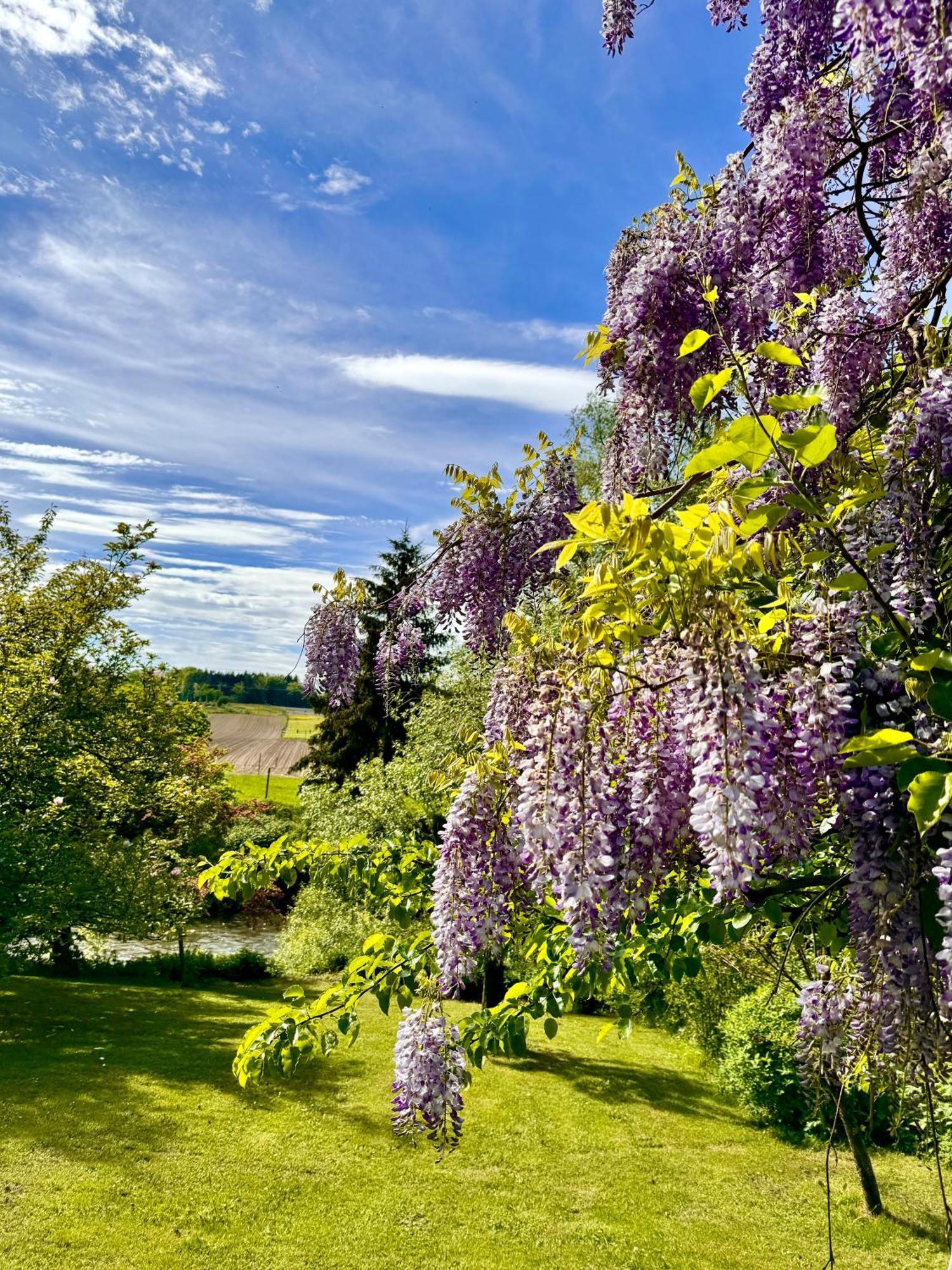 Am Flussgarten Eriskirch Zewnętrze zdjęcie